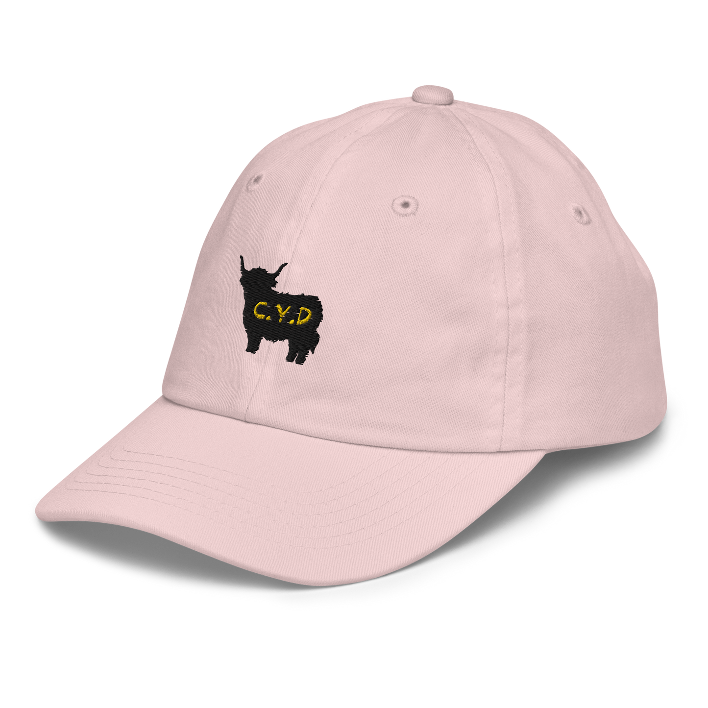 CYD Logo - Youth Baseball Cap
